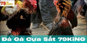 Đá gà cựa sắt và khía cạnh pháp lý